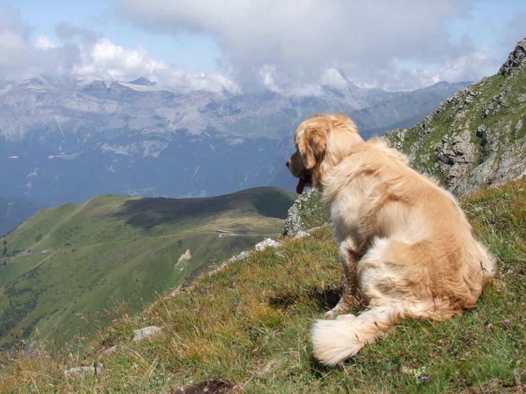 Pour l'image suivante