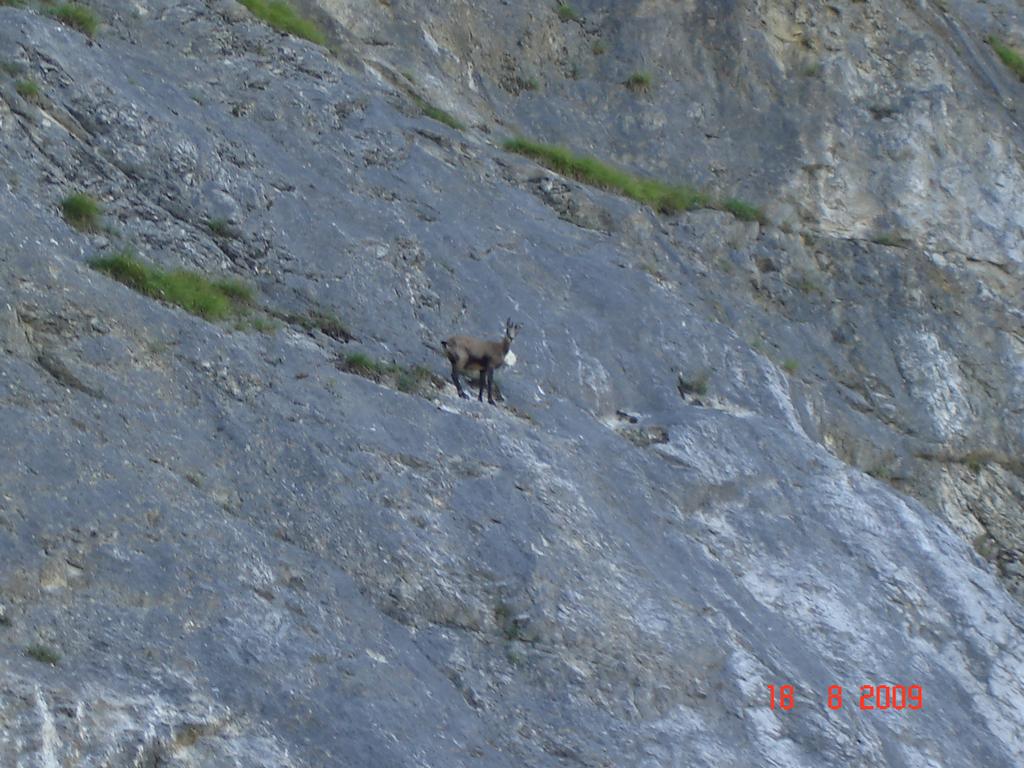 Pour l'image suivante