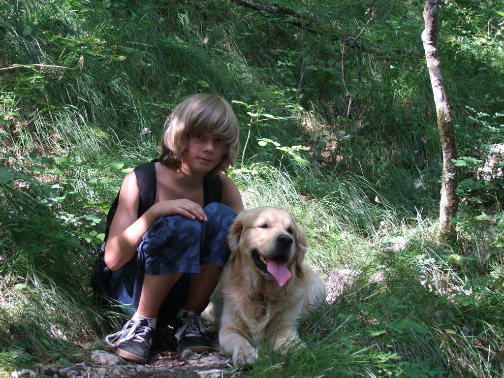 Pour l'image suivante