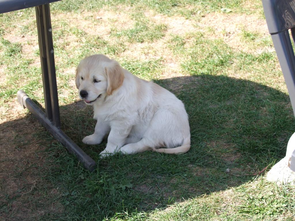 Pour l'image suivante