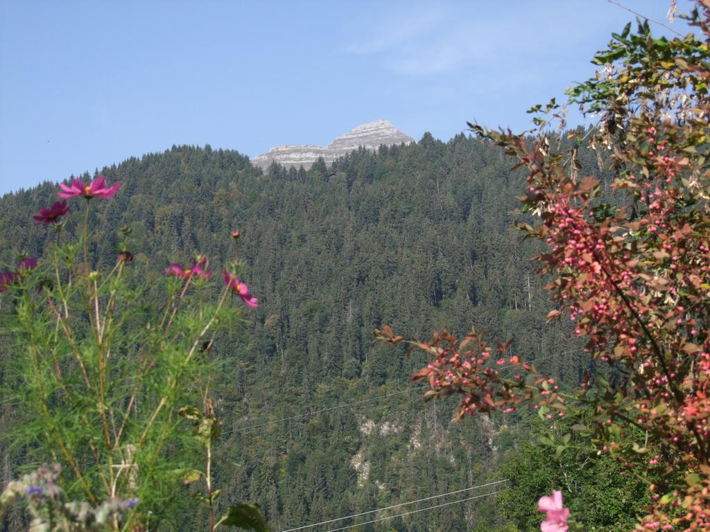 Pour l'image suivante