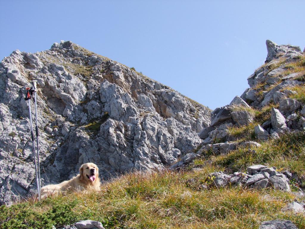 Pour l'image suivante