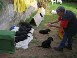 Pour agrandir l'image (1024x768 pixels; 113 KB)