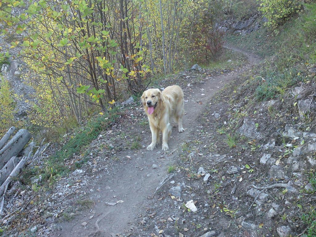 Pour l'image suivante