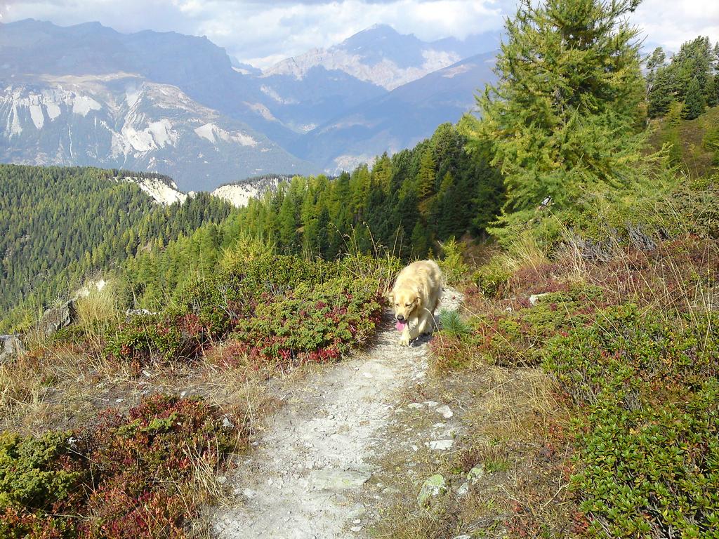 Pour l'image suivante