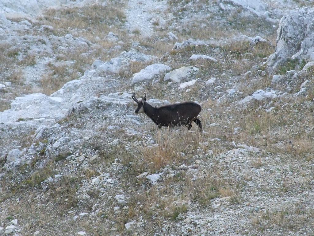 Pour l'image suivante