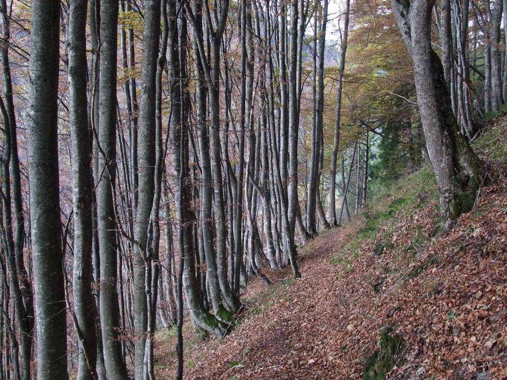 Pour l'image suivante