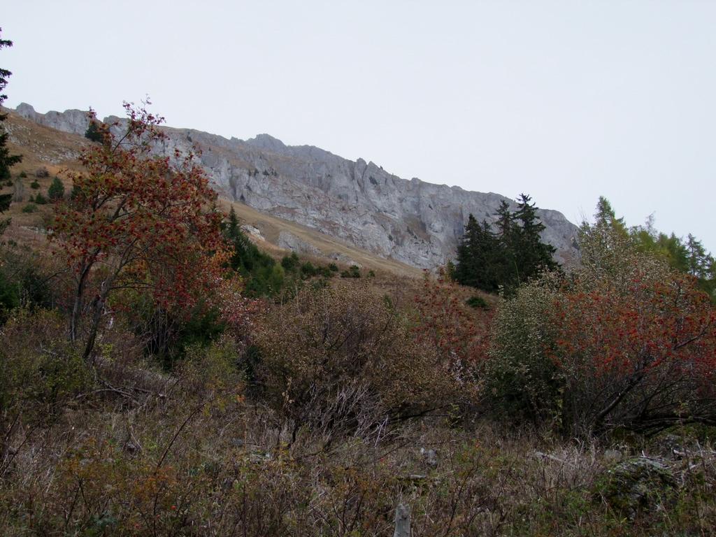 Pour l'image suivante