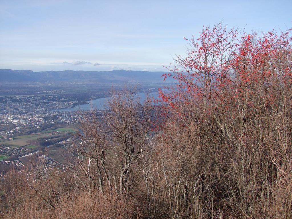 Pour l'image suivante