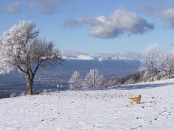 Click to see big picture (1024x768 pixels; 141 KB)