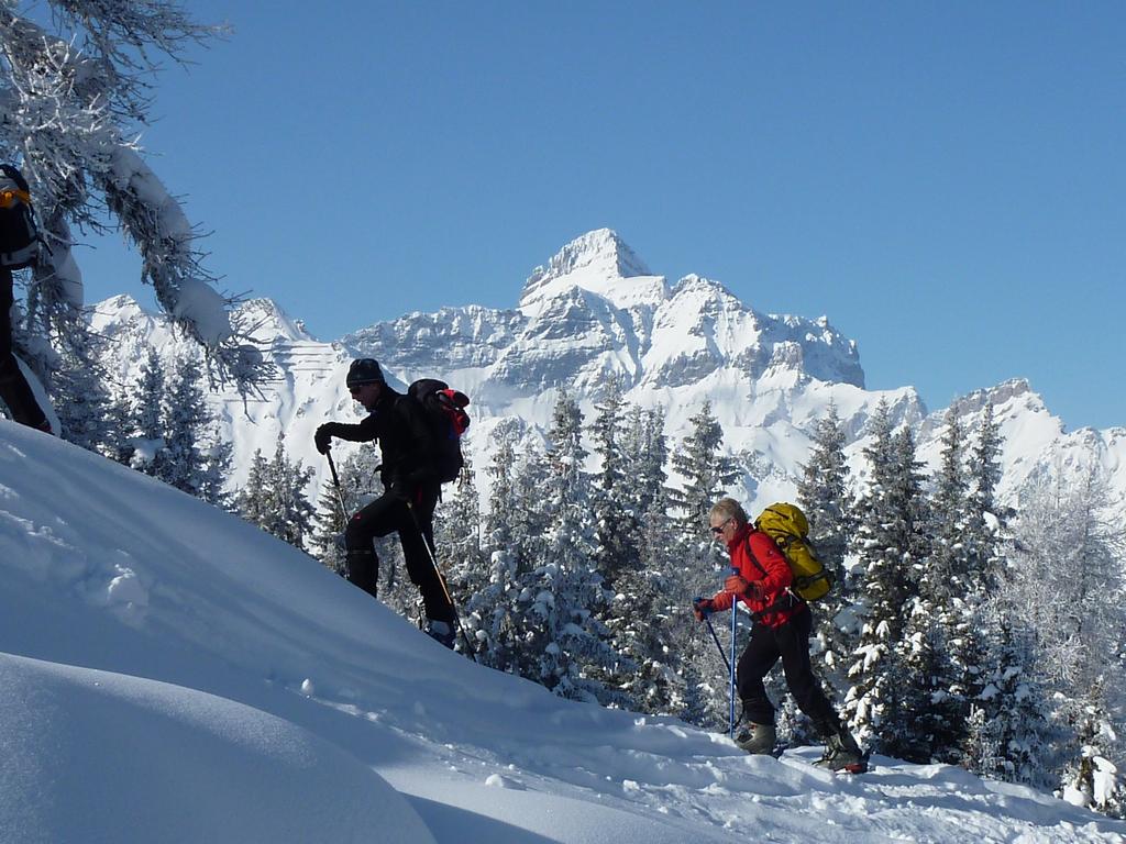 Pour l'image suivante