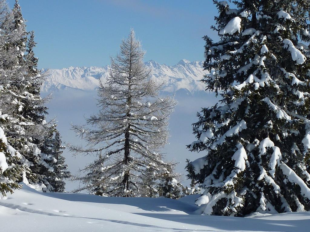 Pour l'image suivante