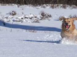 Pour agrandir l'image (1024x768 pixels; 109 KB)