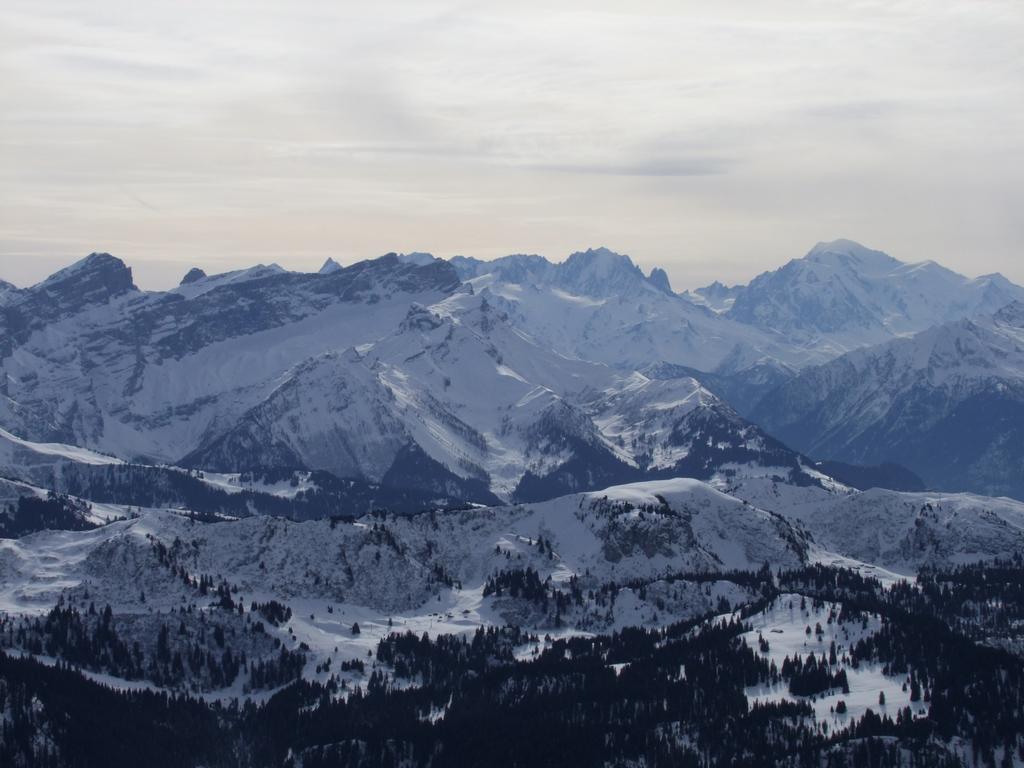 Pour l'image suivante