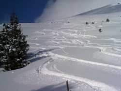 Pour agrandir l'image (1024x768 pixels; 78 KB)