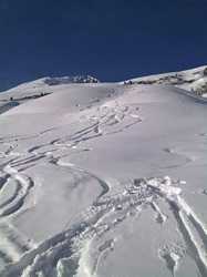 Pour agrandir l'image (576x768 pixels; 54 KB)