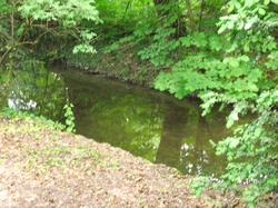 Clic pour agrandir l'image (1024x768 pixels; 191 KB)