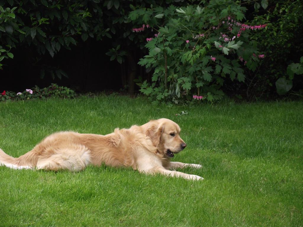 clic ici pour suivante