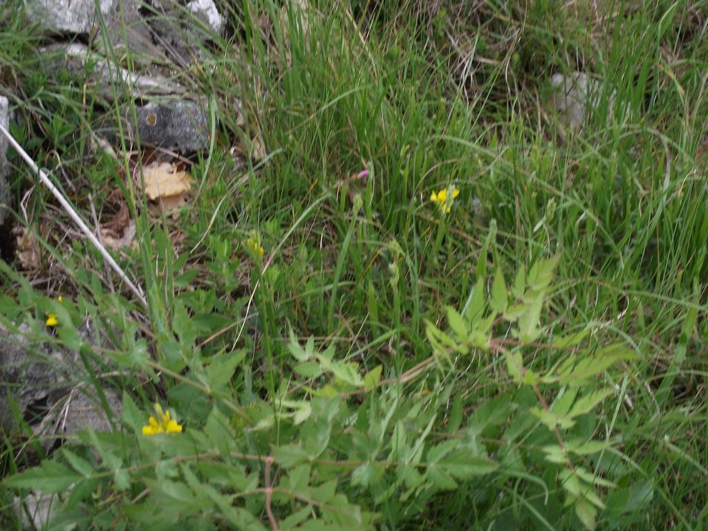 clic ici pour suivante