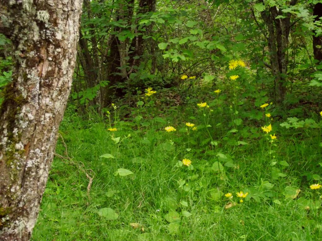 clic ici pour suivante