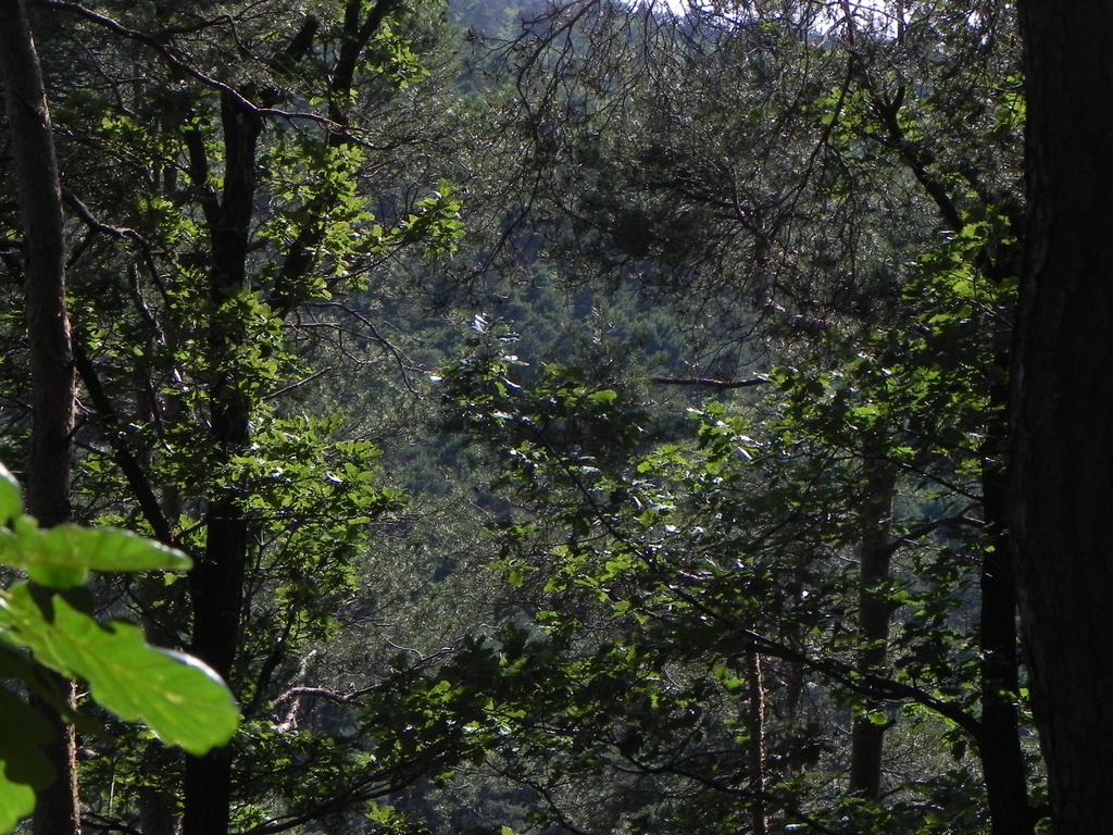 clic ici pour suivante