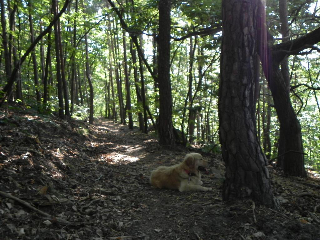 clic ici pour suivante