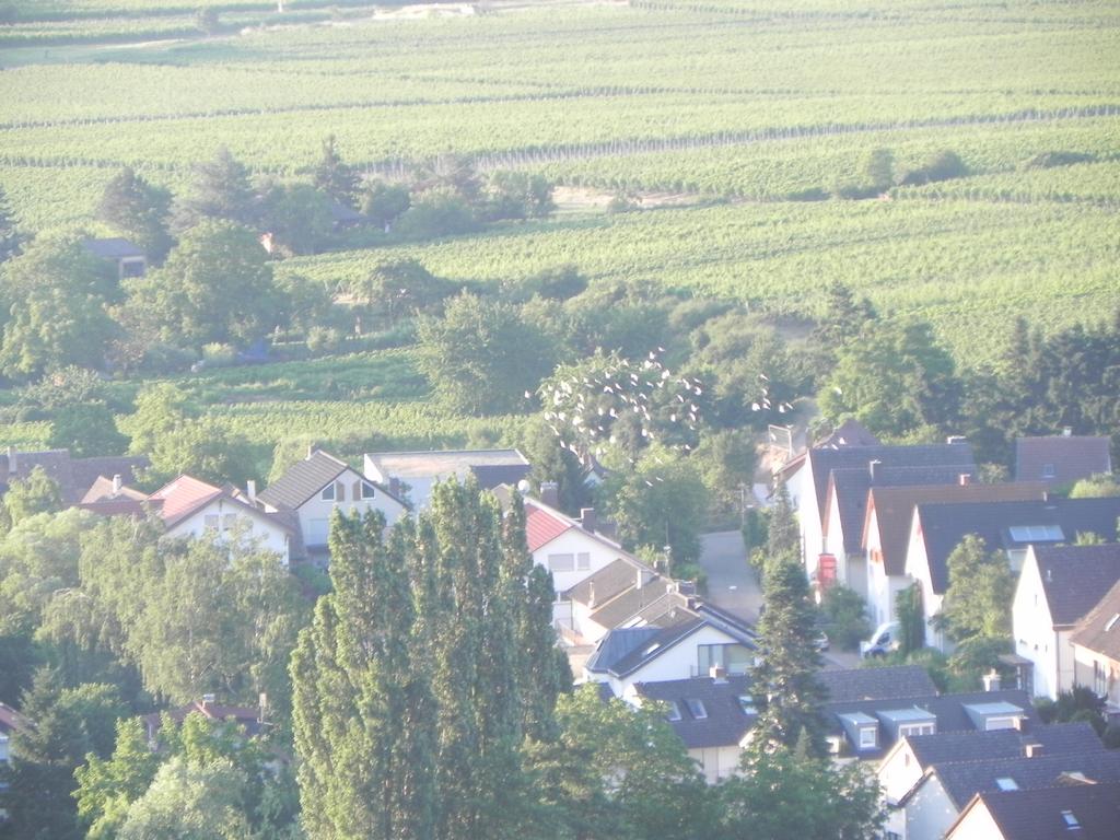 clic ici pour suivante