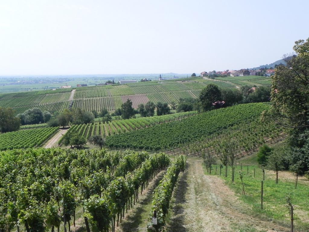 clic ici pour suivante