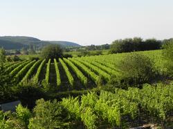 Clic pour agrandir l'image (1024x768 pixels; 176 KB)