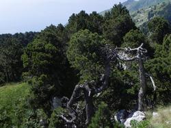 Clic pour agrandir l'image (1024x768 pixels; 178 KB)