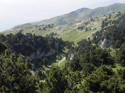 Clic pour agrandir l'image (1024x768 pixels; 167 KB)