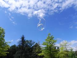 Clic pour agrandir l'image (1024x768 pixels; 67 KB)