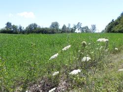 Clic pour agrandir l'image (1024x768 pixels; 227 KB)