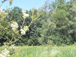 Clic pour agrandir l'image (1024x768 pixels; 249 KB)