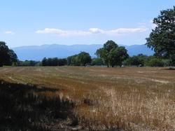 Clic pour agrandir l'image (1024x768 pixels; 130 KB)