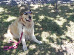 Clic pour agrandir l'image (1024x768 pixels; 223 KB)