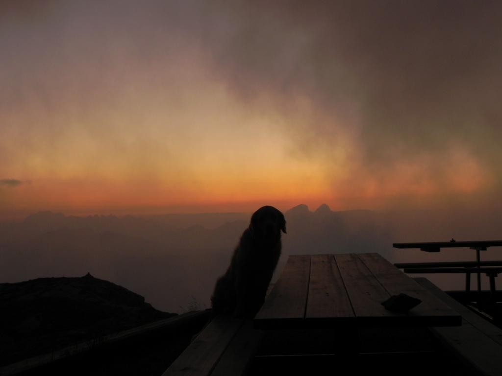 clic ici pour suivante