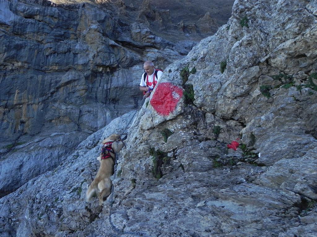 clic ici pour suivante