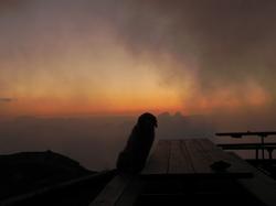 Clic pour agrandir l'image (1024x768 pixels; 30 KB)