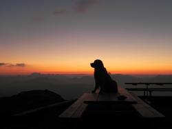 Clic pour agrandir l'image (1024x768 pixels; 32 KB)