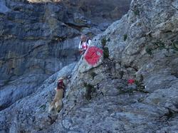 Clic pour agrandir l'image (1024x768 pixels; 186 KB)