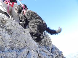 Clic pour agrandir l'image (1024x768 pixels; 119 KB)