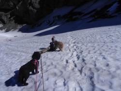 Clic pour agrandir l'image (1024x768 pixels; 93 KB)