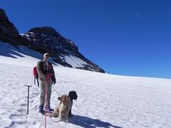 Clic pour agrandir l'image (1024x768 pixels; 80 KB)