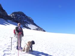 Clic pour agrandir l'image (1024x768 pixels; 74 KB)