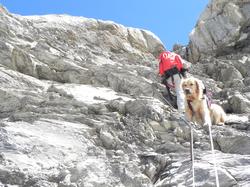 Clic pour agrandir l'image (1024x768 pixels; 194 KB)