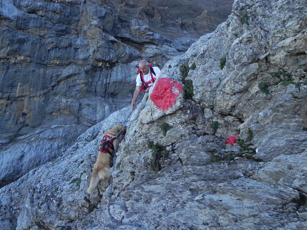 clic ici pour suivante