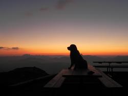 Clic pour agrandir l'image (1024x768 pixels; 32 KB)