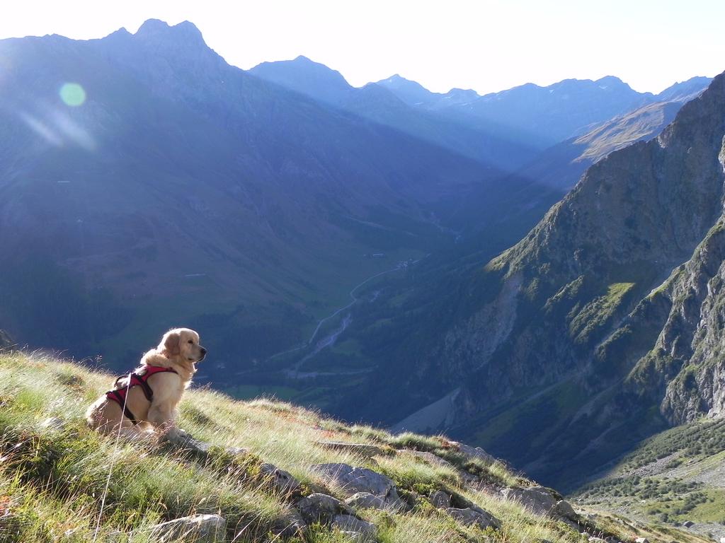 clic ici pour suivante