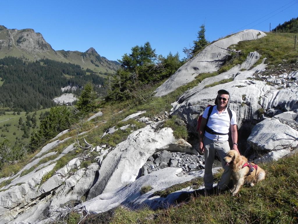 clic ici pour suivante